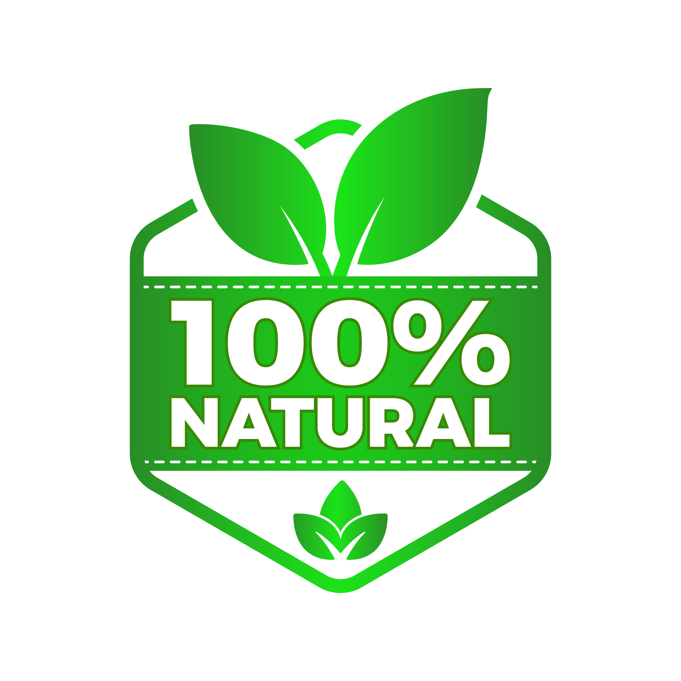 Good Manufacturing Practice