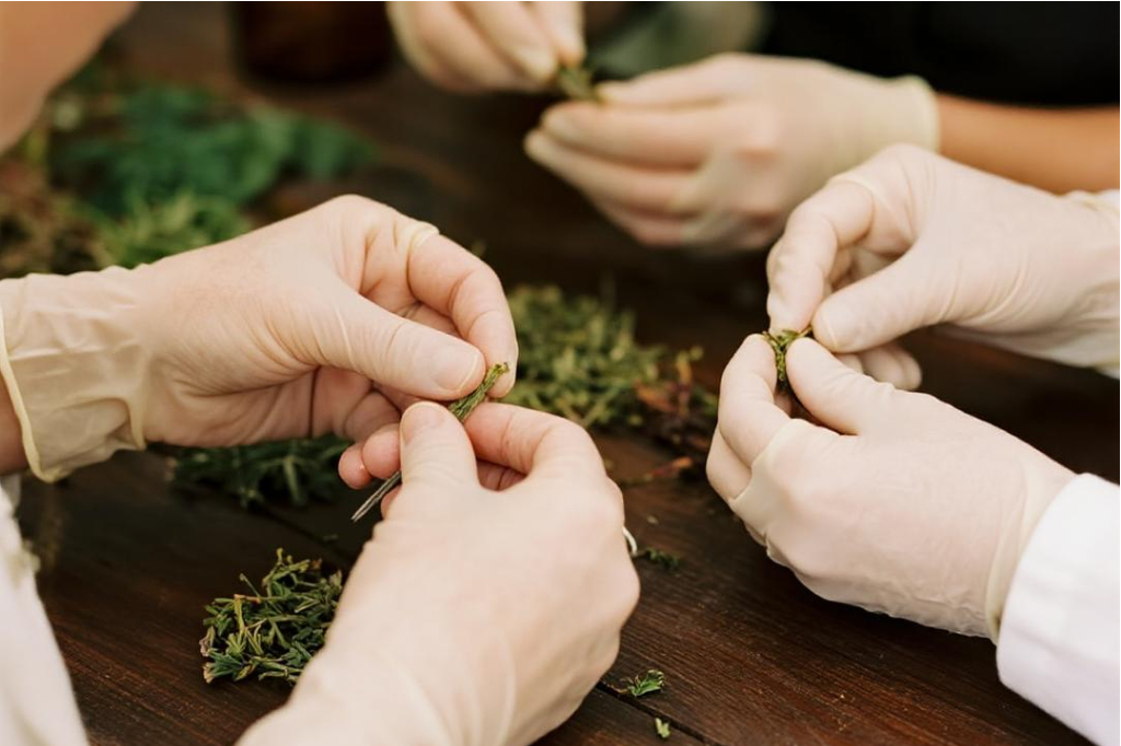 Nutra USA founding team