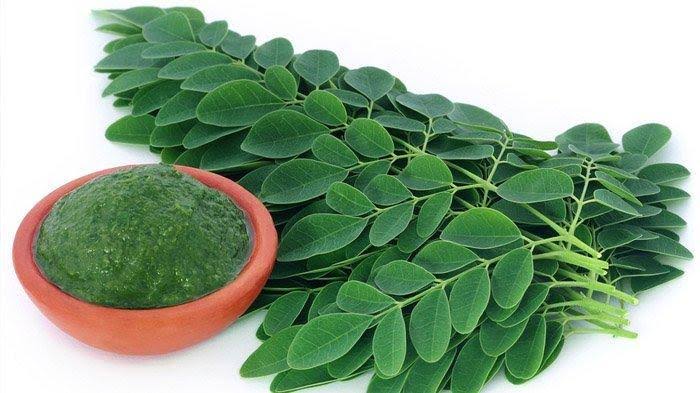 Moringa Leaf
